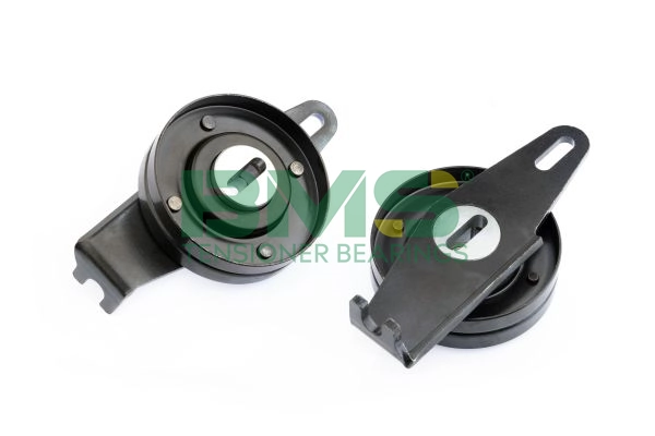 BMS 010