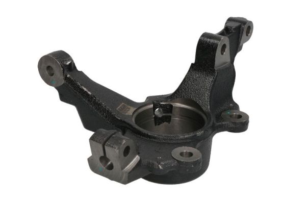 RH08-5019