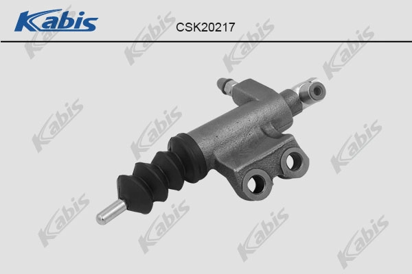CSK20217