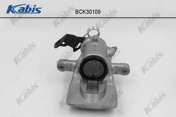 BCK30109