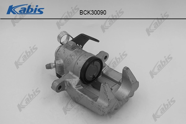 BCK30090