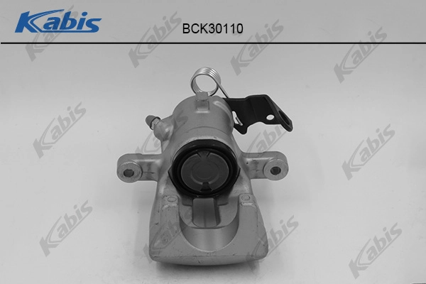 BCK30110