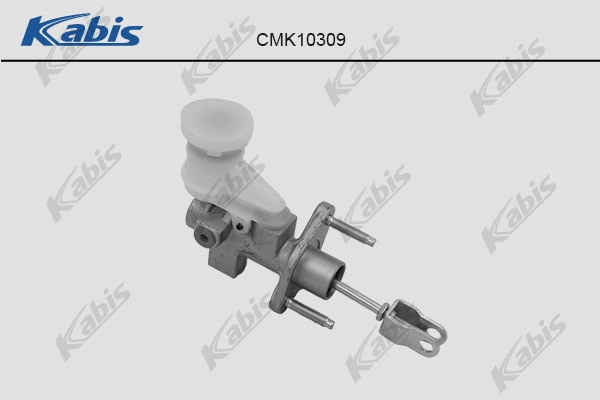 CMK10309