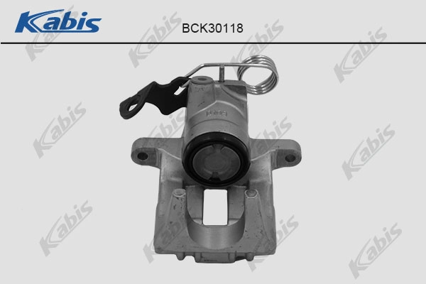 BCK30118