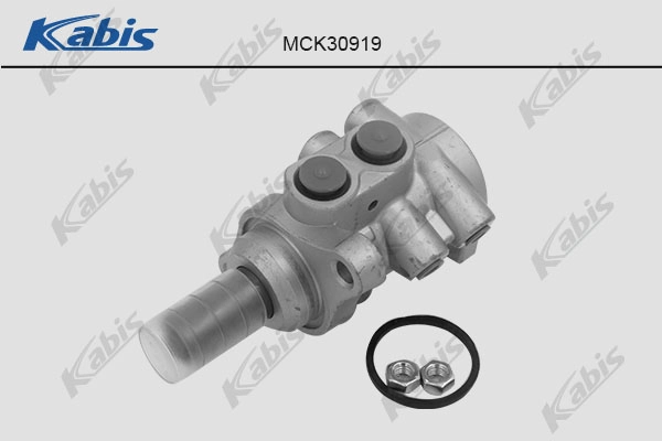 MCK30919
