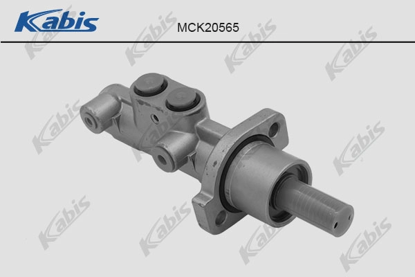 MCK20565