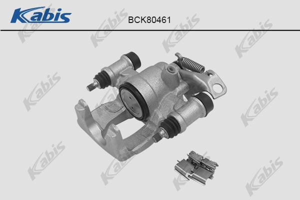 BCK80461