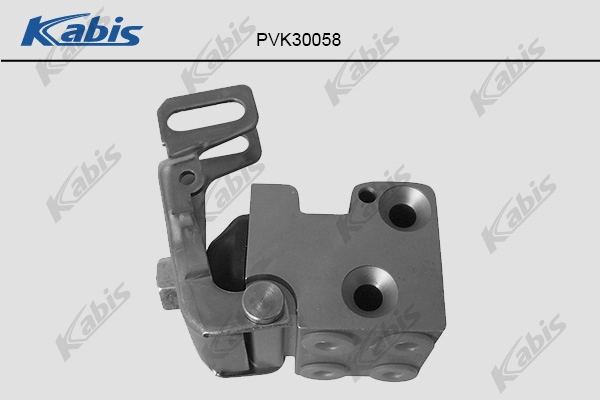 PVK30058