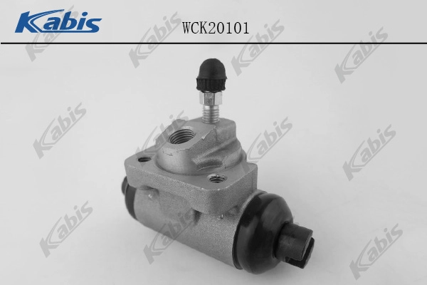 WCK20101