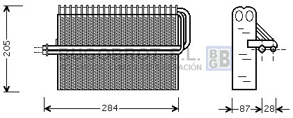 70-OLV344