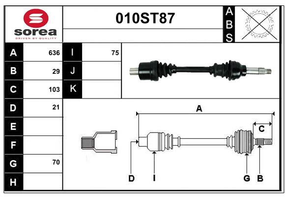 GCV1101
