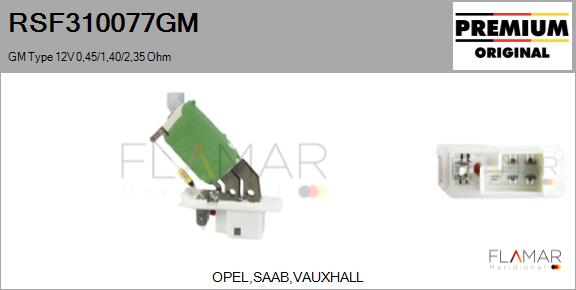 RSF310077GM