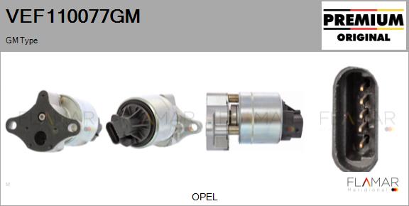 VEF110077GM