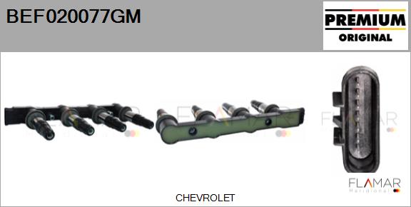 BEF020077GM