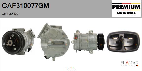 CAF310077GM