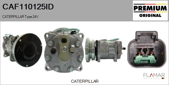 CAF110125ID
