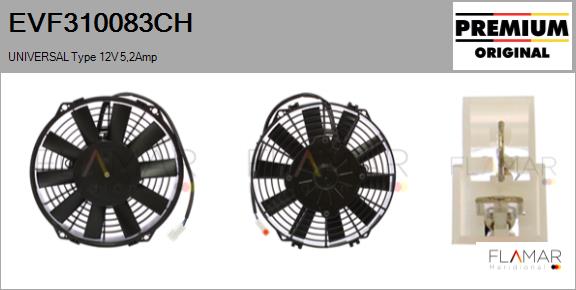 EVF310083CH