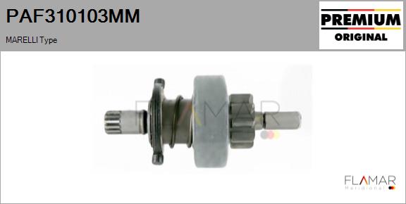 PAF310103MM