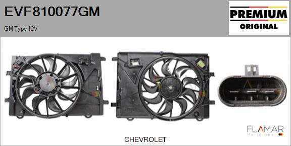EVF810077GM