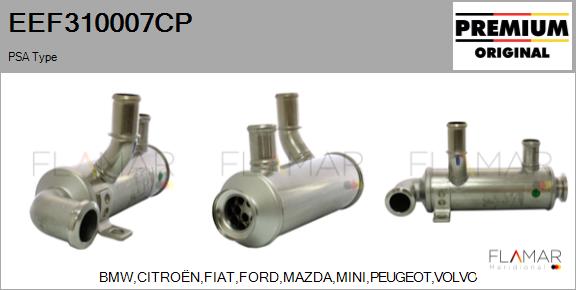 EEF310007CP