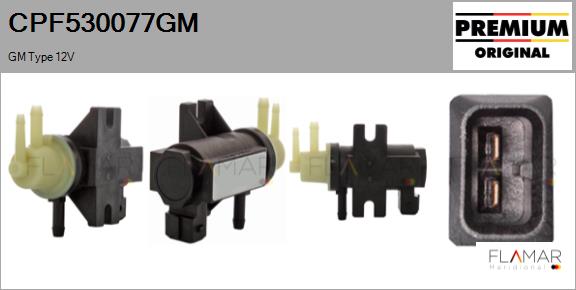 CPF530077GM
