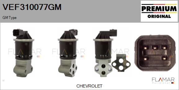 VEF310077GM