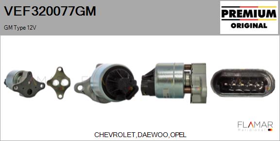 VEF320077GM