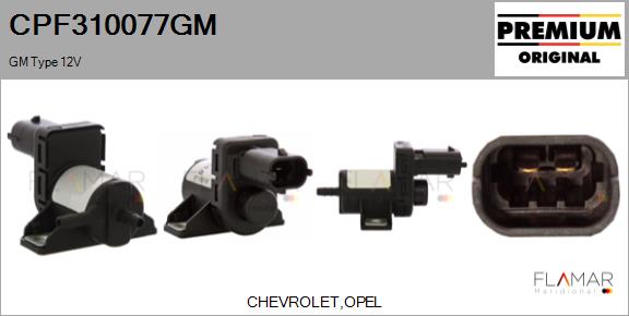 CPF310077GM
