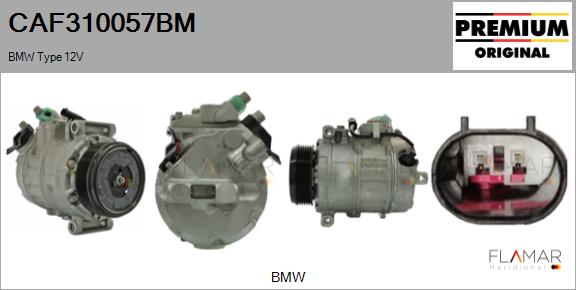 CAF310057BM