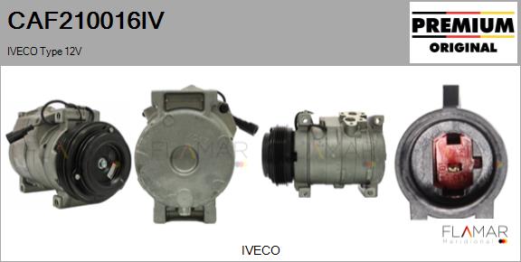 CAF210016IV