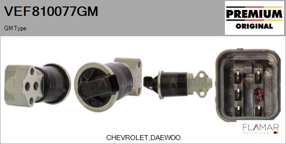 VEF810077GM