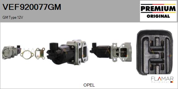 VEF920077GM