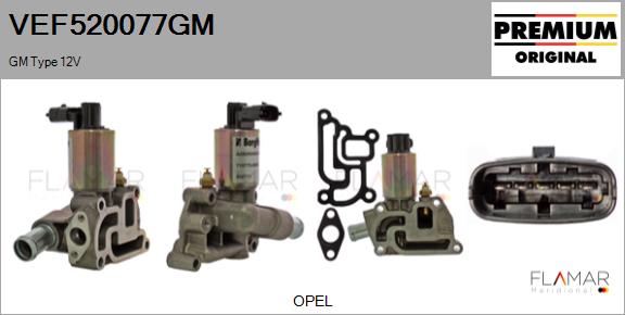 VEF520077GM