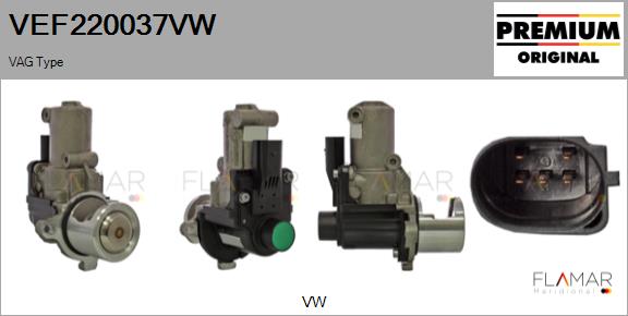 VEF220037VW