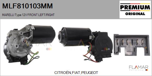 MLF810103MM