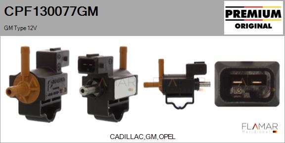 CPF130077GM