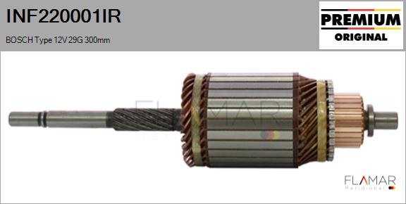 INF220001IR
