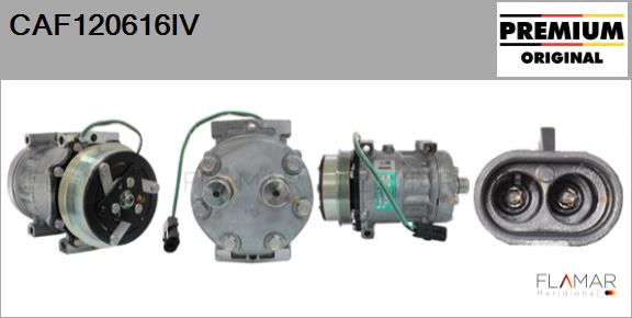 CAF120616IV