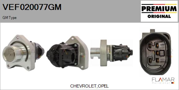 VEF020077GM