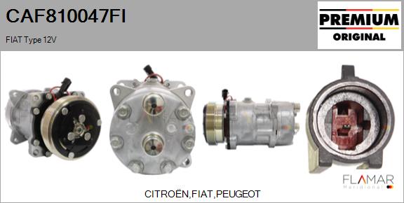 CAF810047FI