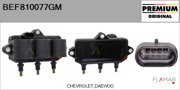 BEF810077GM