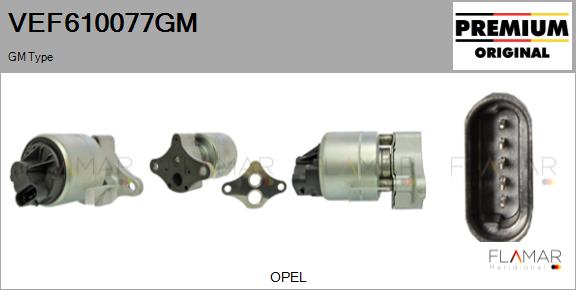 VEF610077GM