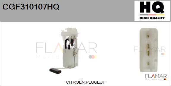 CGF310107HQ