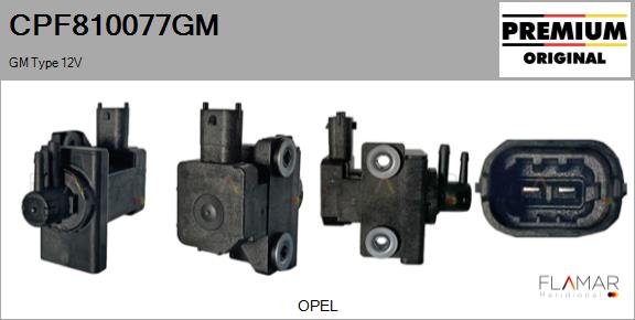 CPF810077GM