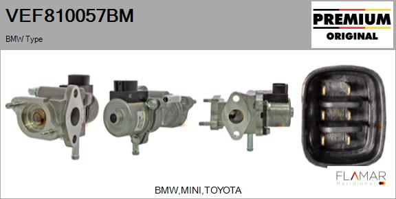 VEF810057BM