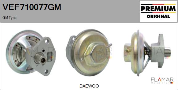 VEF710077GM
