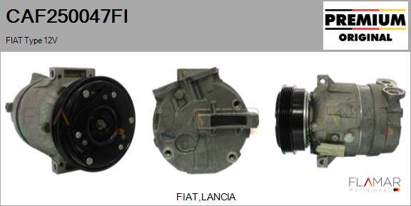 CAF250047FI