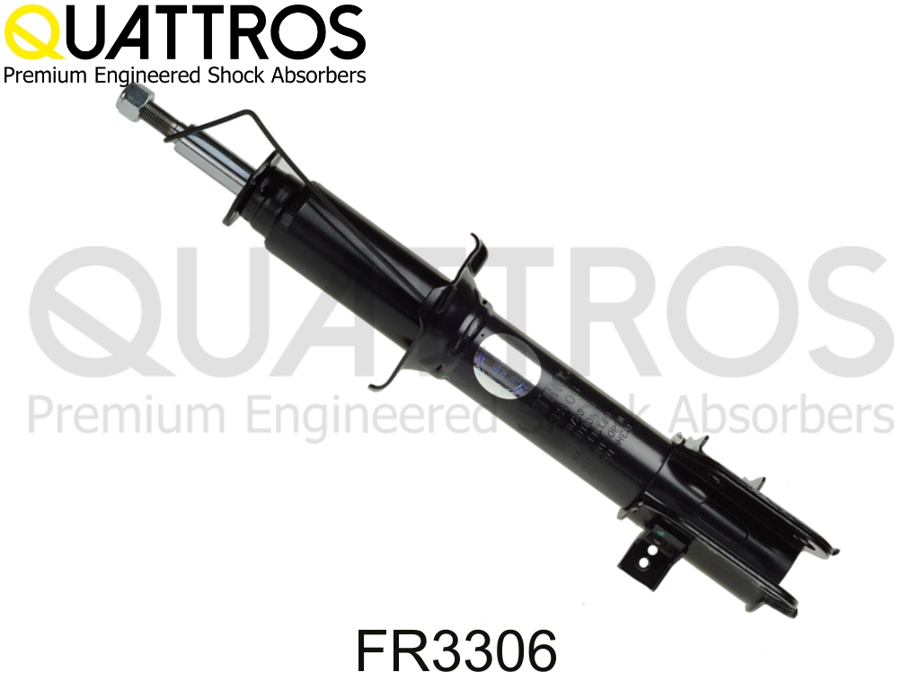 FR3306