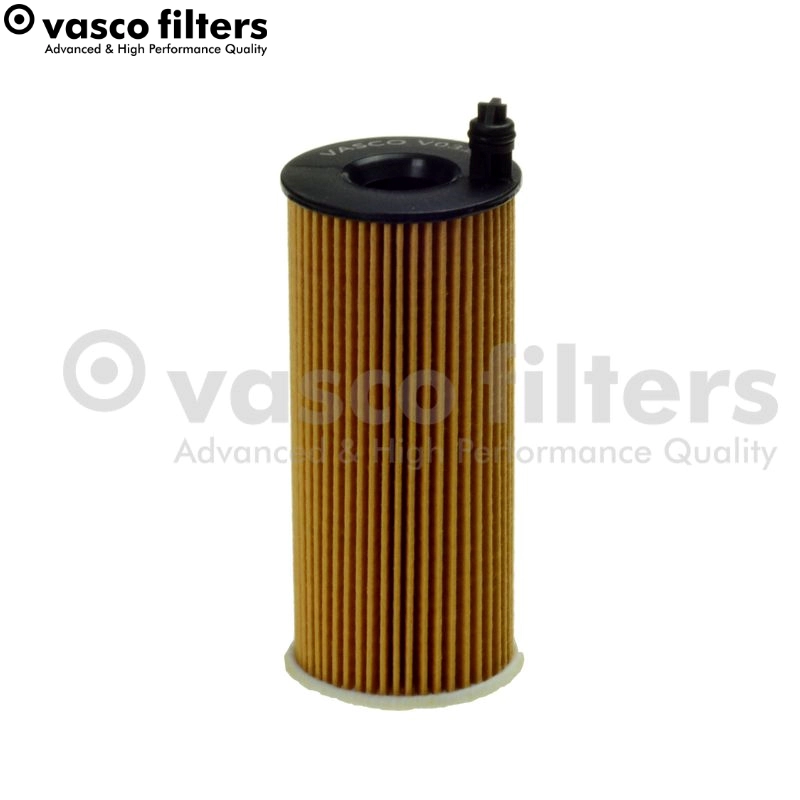 V031
