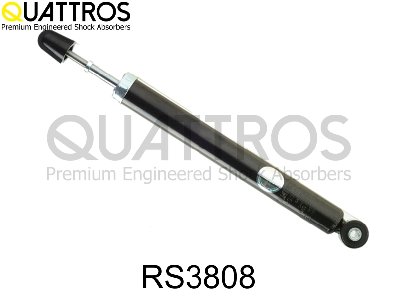 RS3808